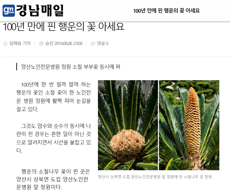 201908190917170.png