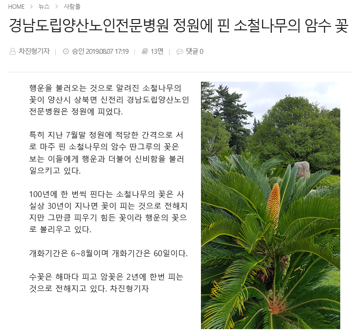 201908190917220.png